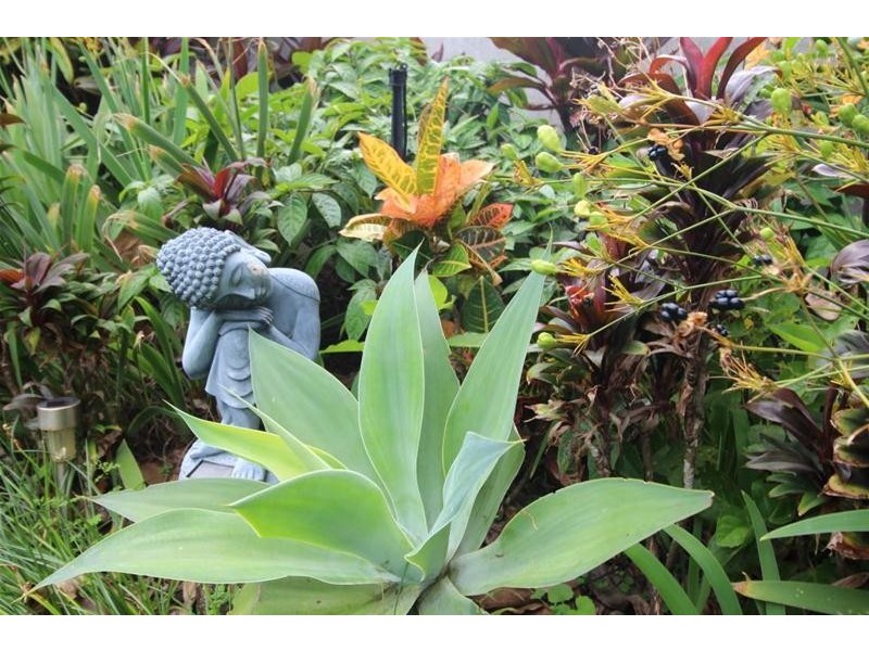 26 Feldt Street, Flying Fish Point QLD 4860