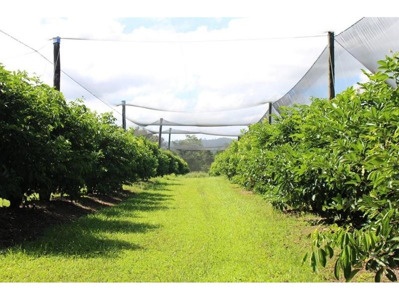 922 Granadilla Road, Granadilla QLD 4855