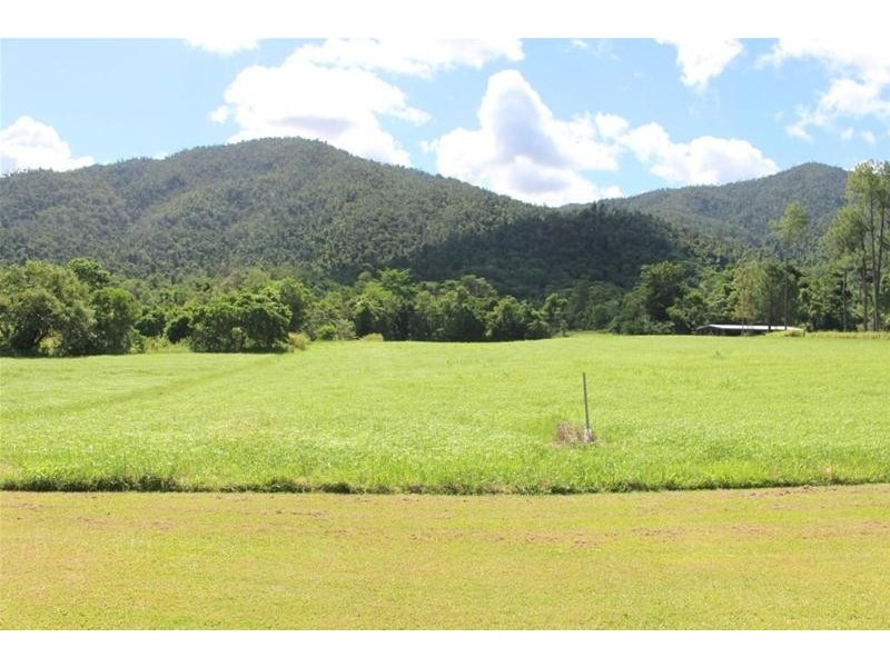 667 Old Tully Road, Feluga QLD 4854