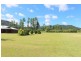 667 Old Tully Road, Feluga QLD 4854