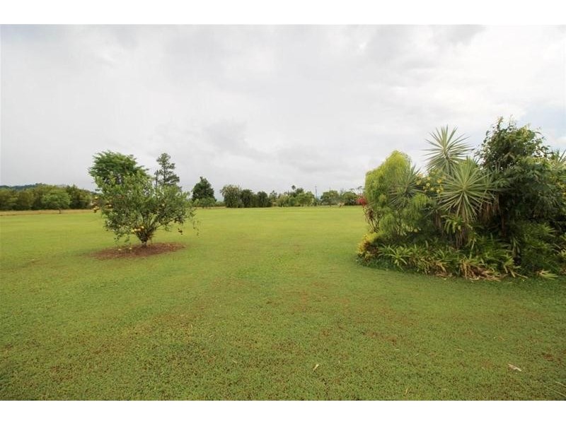 667 Old Tully Road, Feluga QLD 4854