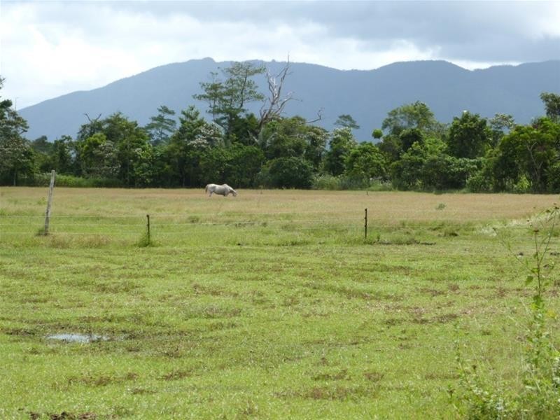 252 East Feluga Road, East Feluga QLD 4854