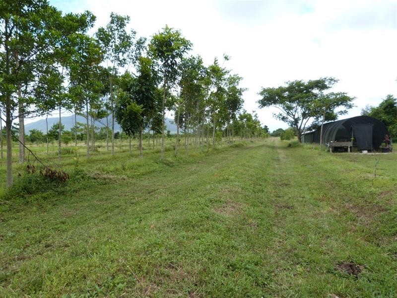 252 East Feluga Road, East Feluga QLD 4854