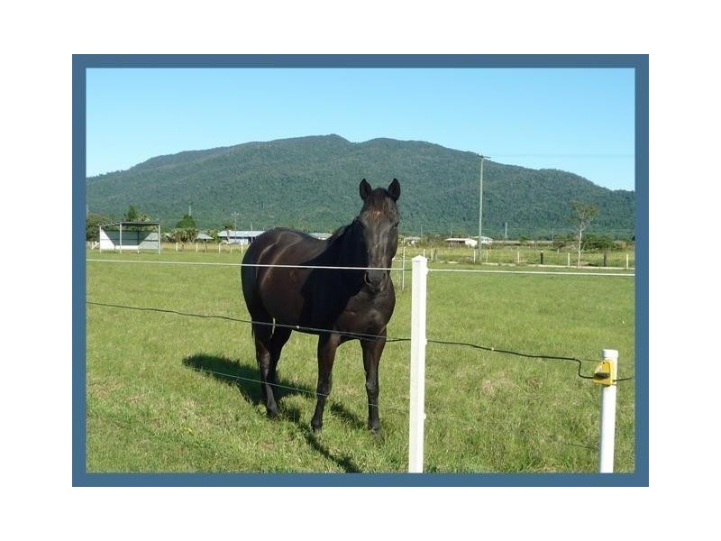 131 Old Tully Road, Tully QLD 4854