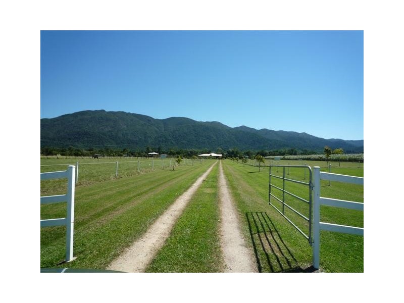 131 Old Tully Road, Tully QLD 4854