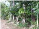 Lot L50, 84 Cutten Street, Bingil Bay QLD 4852