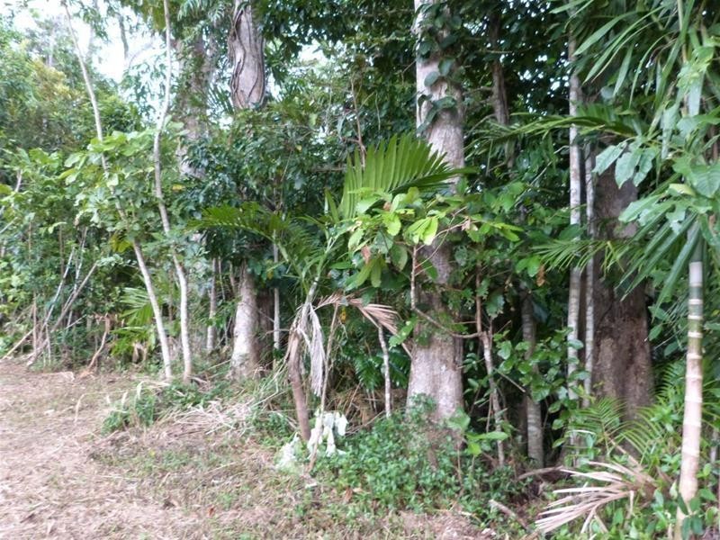 Lot L50, 84 Cutten Street, Bingil Bay QLD 4852