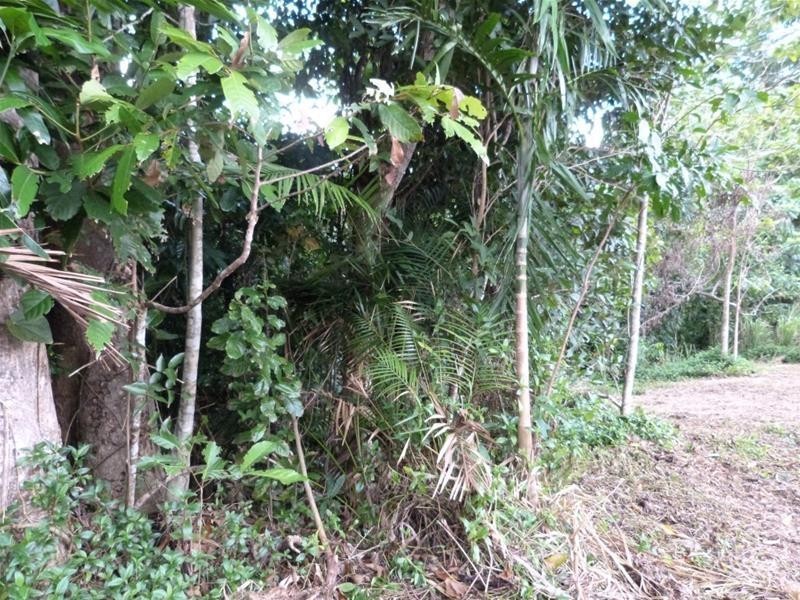 Lot L50, 84 Cutten Street, Bingil Bay QLD 4852