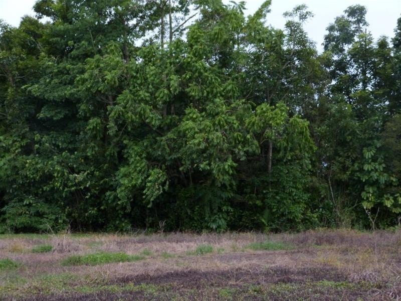 9 Albert Street, Silkwood QLD 4856