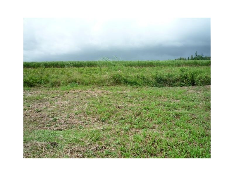 7 Mary Street, Silkwood QLD 4856