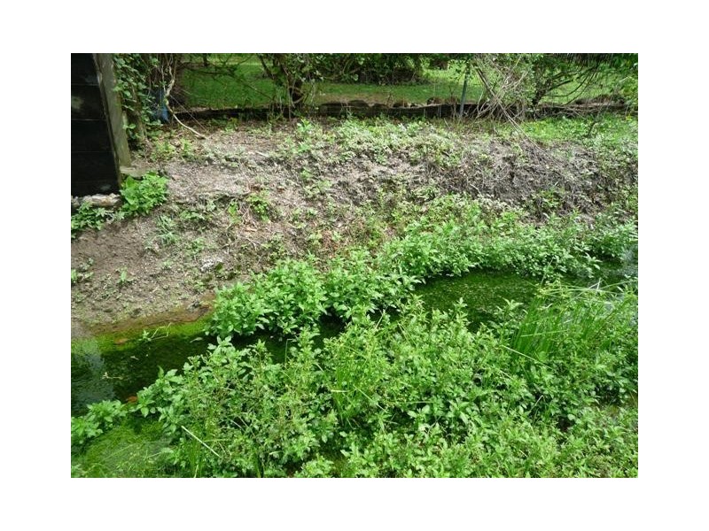 7 Mary Street, Silkwood QLD 4856