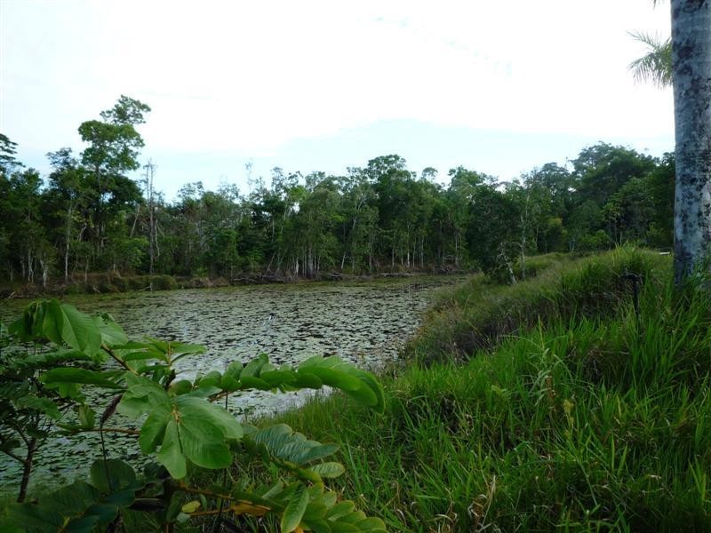 Mission Beach QLD 4852