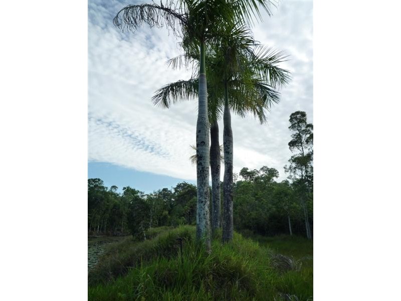 Mission Beach QLD 4852