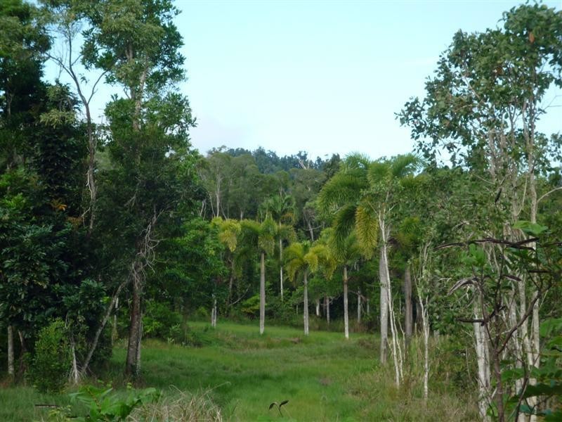 Mission Beach QLD 4852