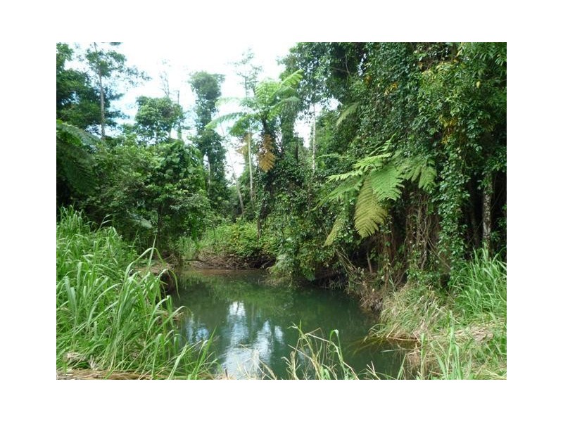 Lot 204, 204 Wall Road, Japoonvale QLD 4856