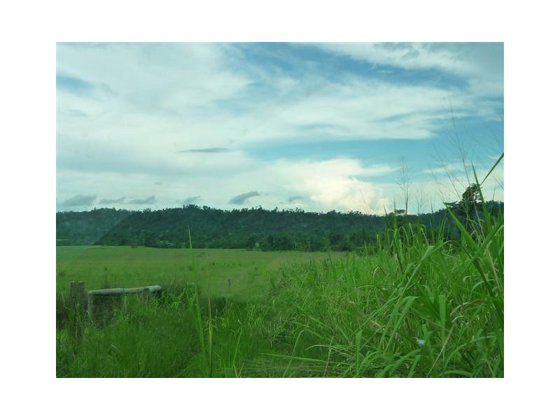 Lot 204, 204 Wall Road, Japoonvale QLD 4856