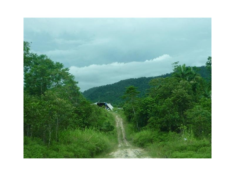 Lot 204, 204 Wall Road, Japoonvale QLD 4856