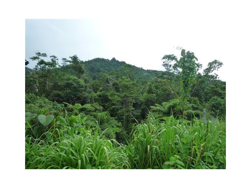 Lot 204, 204 Wall Road, Japoonvale QLD 4856