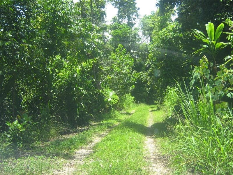 Lot 603, 603 Tully Mission Beach Road, Wongaling Beach QLD 4852