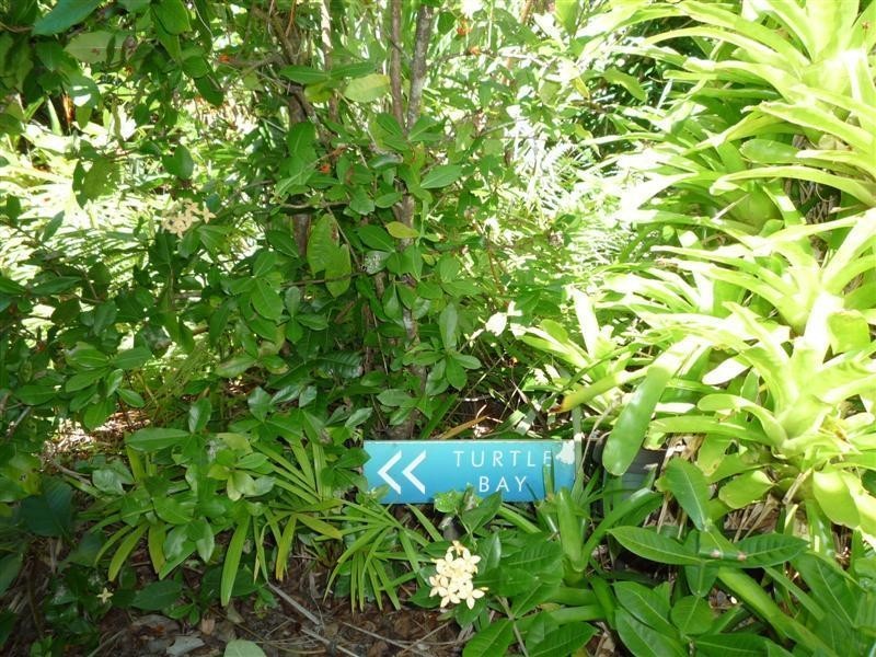 137 Reid Road, Wongaling Beach QLD 4852