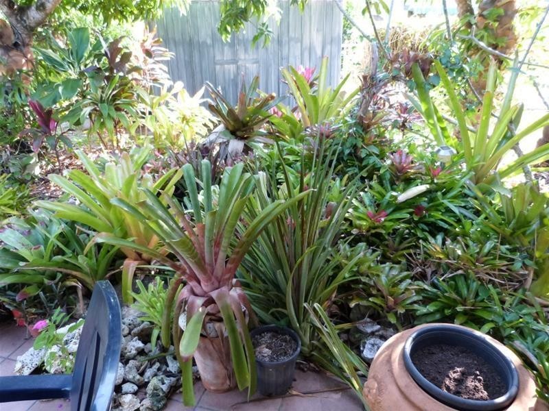 28 Melaleuca Drive, Tully Heads QLD 4854