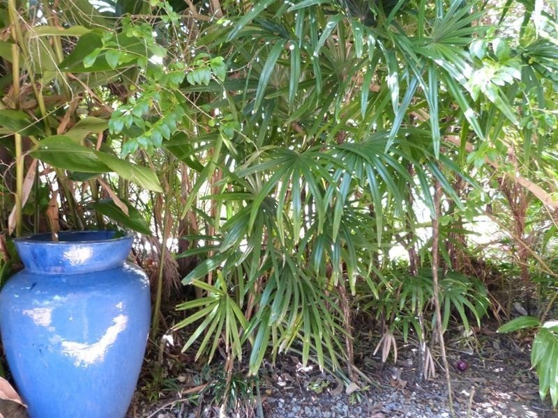 3 Donkin Lane, Mission Beach QLD 4852