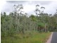Lot Lot 26, 26 McIntosh Road, East Feluga QLD 4854
