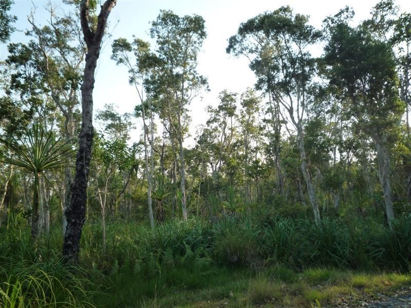 Lot Lot 26, 26 McIntosh Road, East Feluga QLD 4854