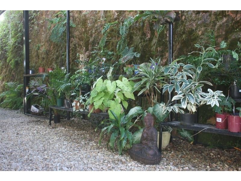 141 Banfield Road, Granadilla QLD 4855