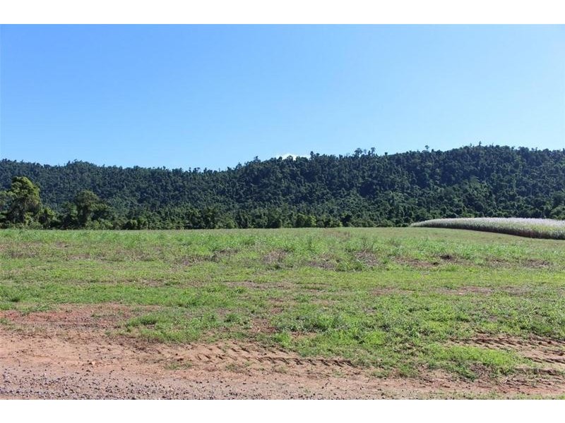 Lot 209 , Lot 209 Dixon Road, Friday Pocket QLD 4855