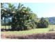 Lot 209 , Lot 209 Dixon Road, Friday Pocket QLD 4855