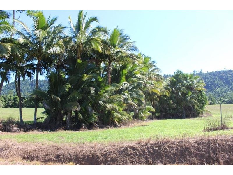 Lot 209 , Lot 209 Dixon Road, Friday Pocket QLD 4855