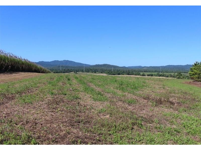 Lot 209 , Lot 209 Dixon Road, Friday Pocket QLD 4855