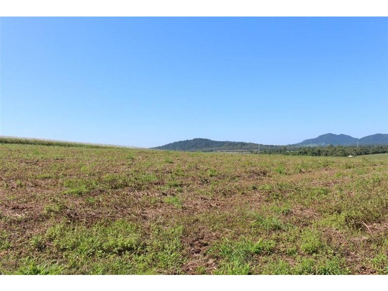 Lot 209 , Lot 209 Dixon Road, Friday Pocket QLD 4855