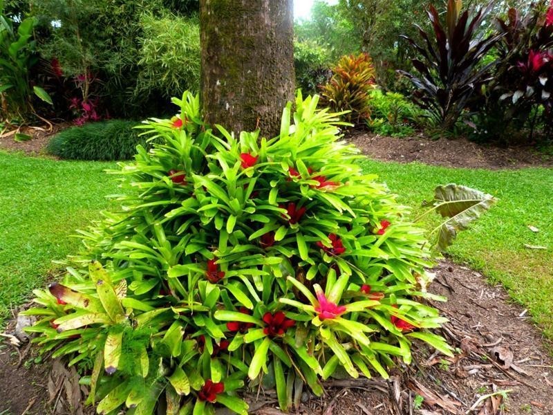 19 MJV McNamara Close, Bulgun QLD 4854