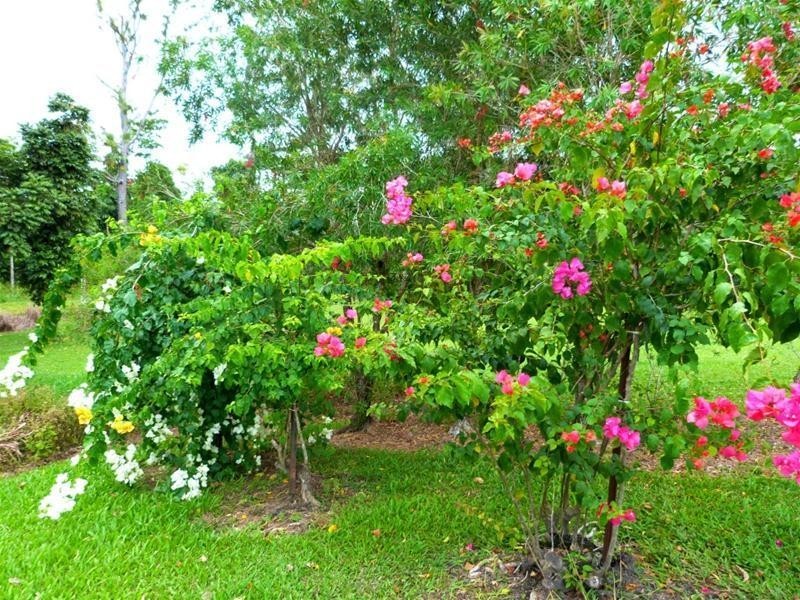 19 MJV McNamara Close, Bulgun QLD 4854