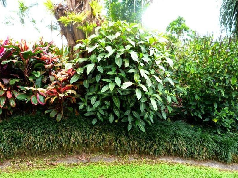 19 MJV McNamara Close, Bulgun QLD 4854