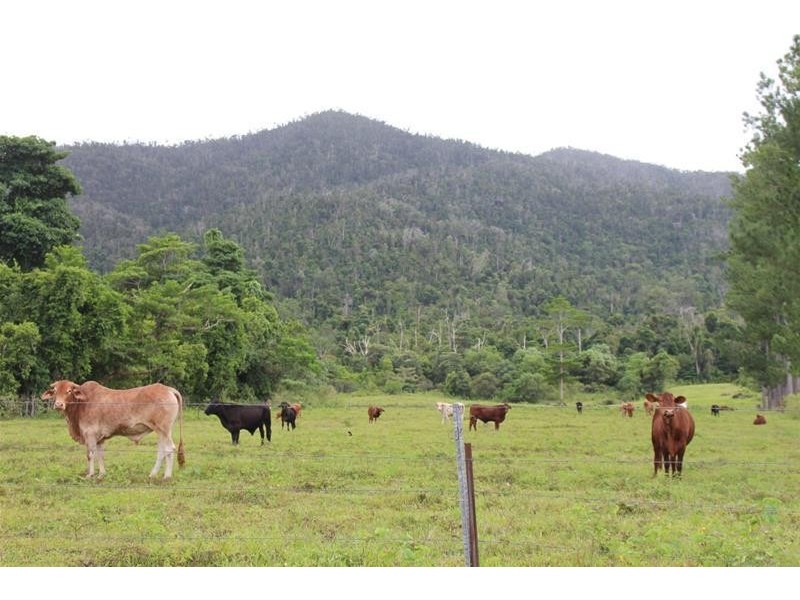 Lot 102, Lot 102 Old Tully Road, Feluga QLD 4854