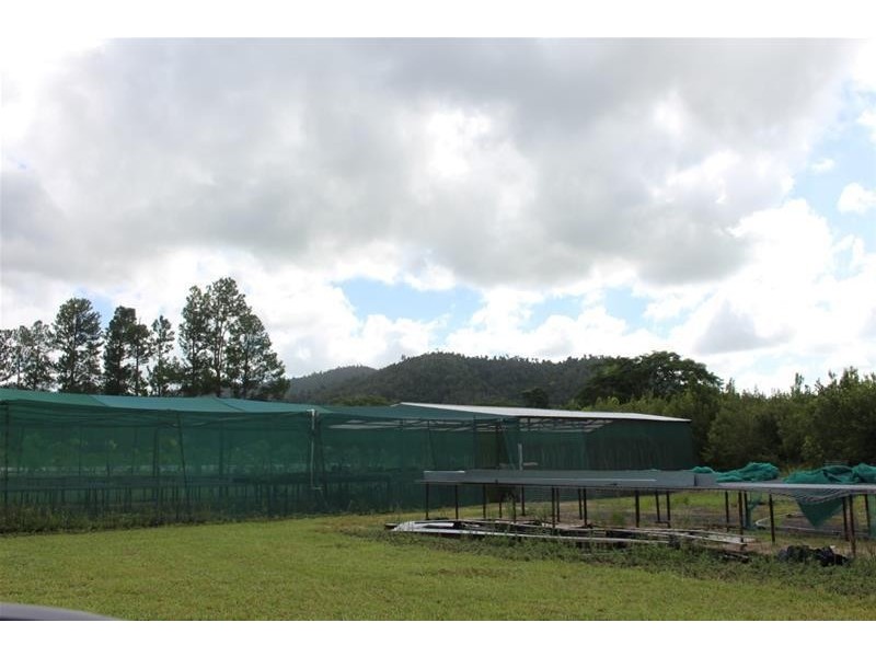 Lot 102, Lot 102 Old Tully Road, Feluga QLD 4854