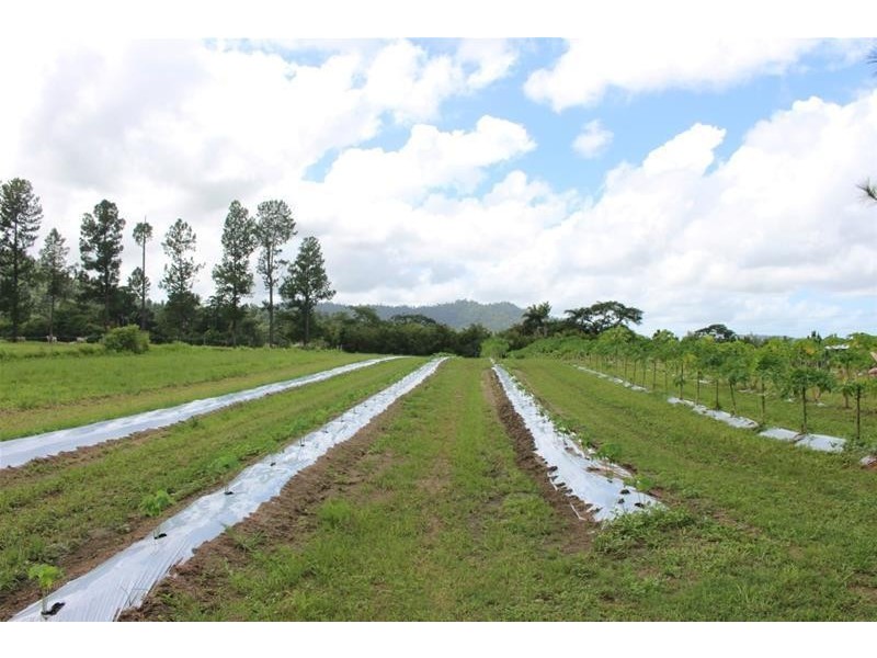 Lot 102, Lot 102 Old Tully Road, Feluga QLD 4854