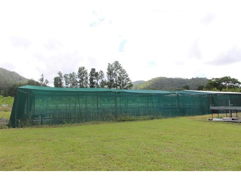 Lot 102, Lot 102 Old Tully Road, Feluga QLD 4854
