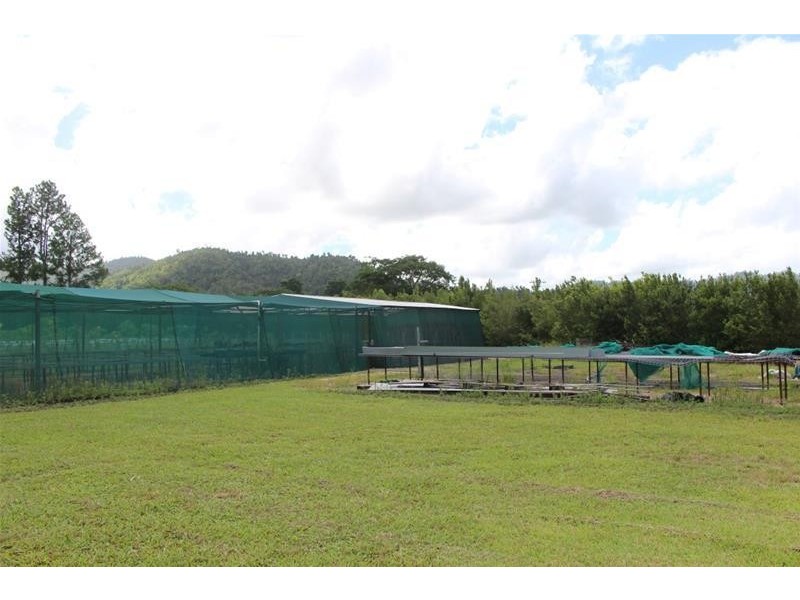 Lot 102, Lot 102 Old Tully Road, Feluga QLD 4854