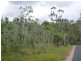 Lot Lot 26, 26 McIntosh Road, East Feluga QLD 4854