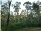 Lot Lot 26, 26 McIntosh Road, East Feluga QLD 4854