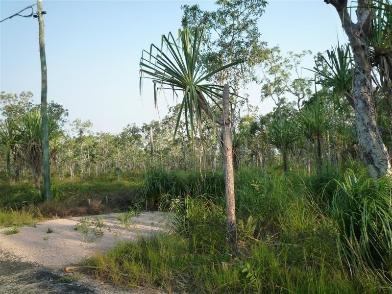 Lot Lot 26, 26 McIntosh Road, East Feluga QLD 4854