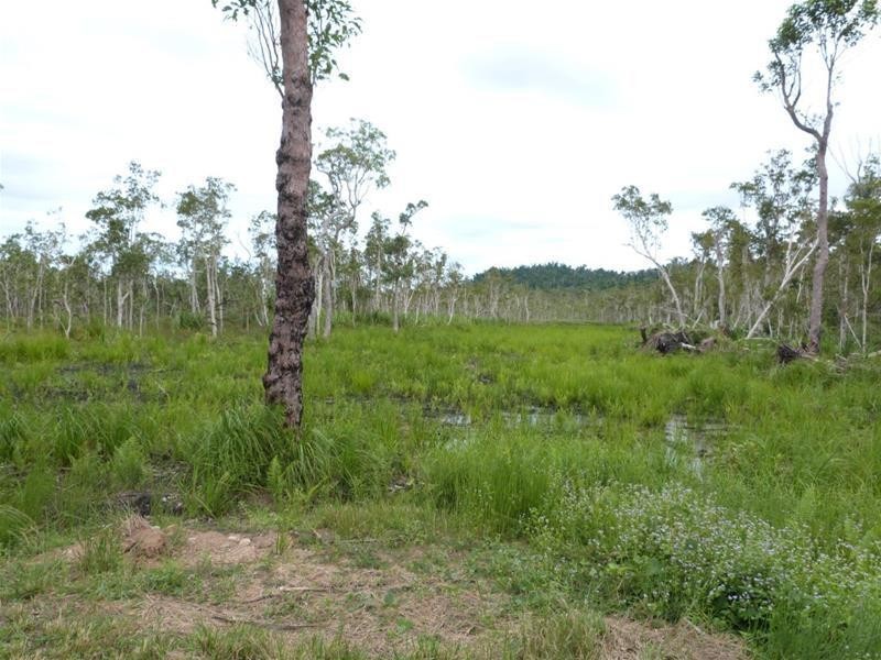 Lot Lot 26, 26 McIntosh Road, East Feluga QLD 4854