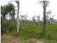 Lot Lot 26, 26 McIntosh Road, East Feluga QLD 4854
