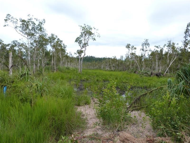 Lot Lot 26, 26 McIntosh Road, East Feluga QLD 4854