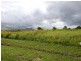Lot 88, Lot 88 Midgenoo-Feluga Road, Midgenoo QLD 4854