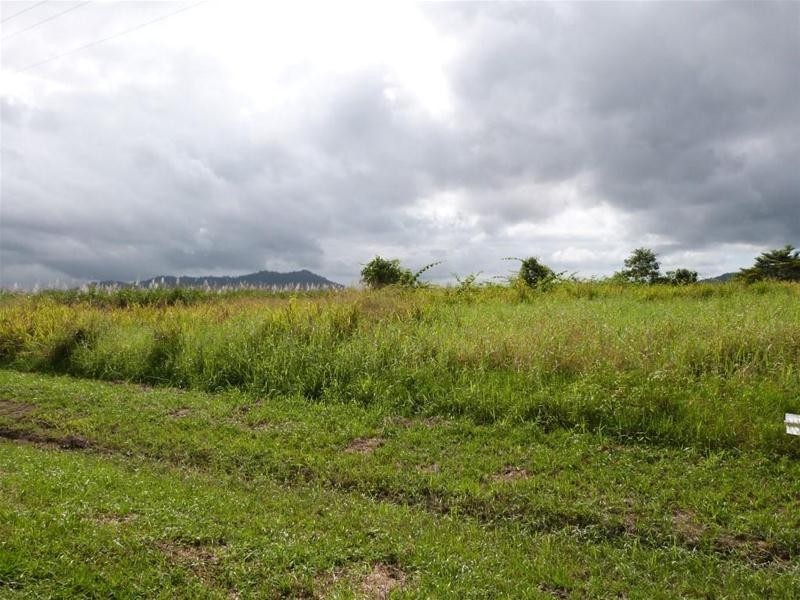 Lot 88, Lot 88 Midgenoo-Feluga Road, Midgenoo QLD 4854